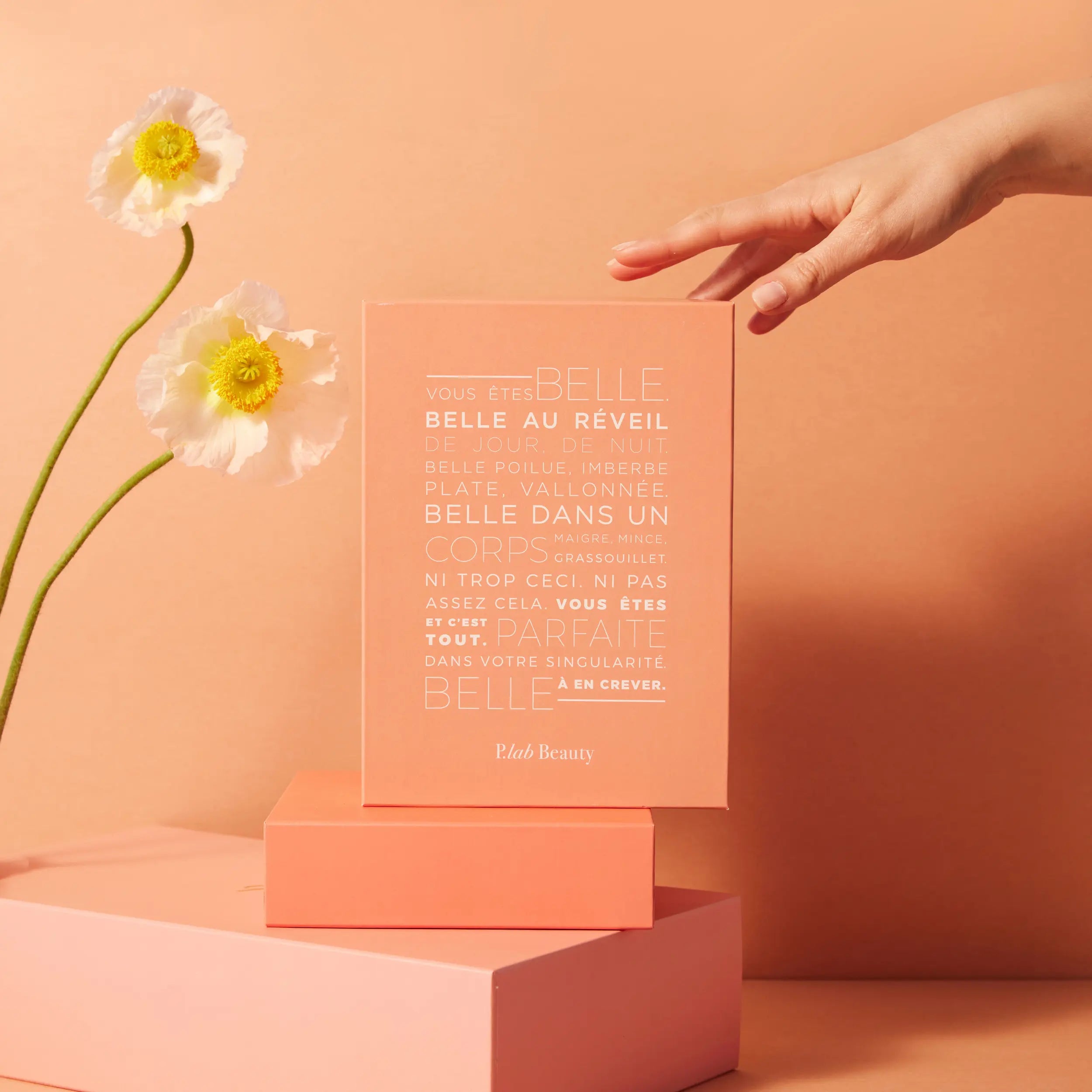 boite en carton rose fond rose et fleur