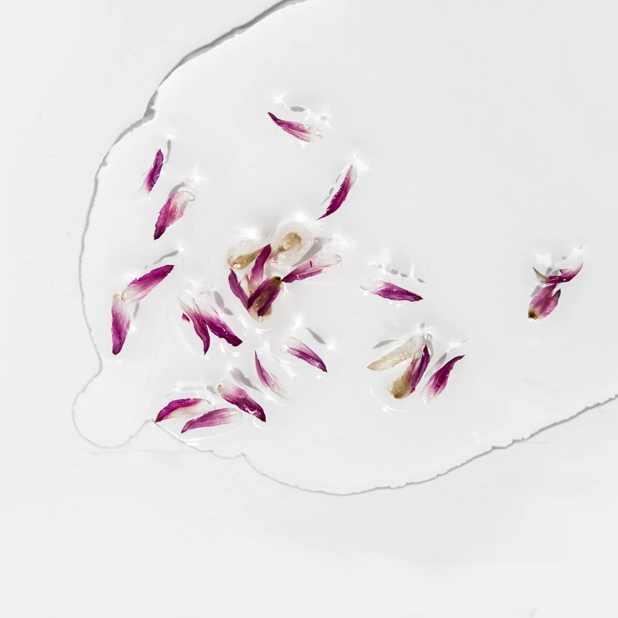 texture huile avec pétales de fleurs fond blanc