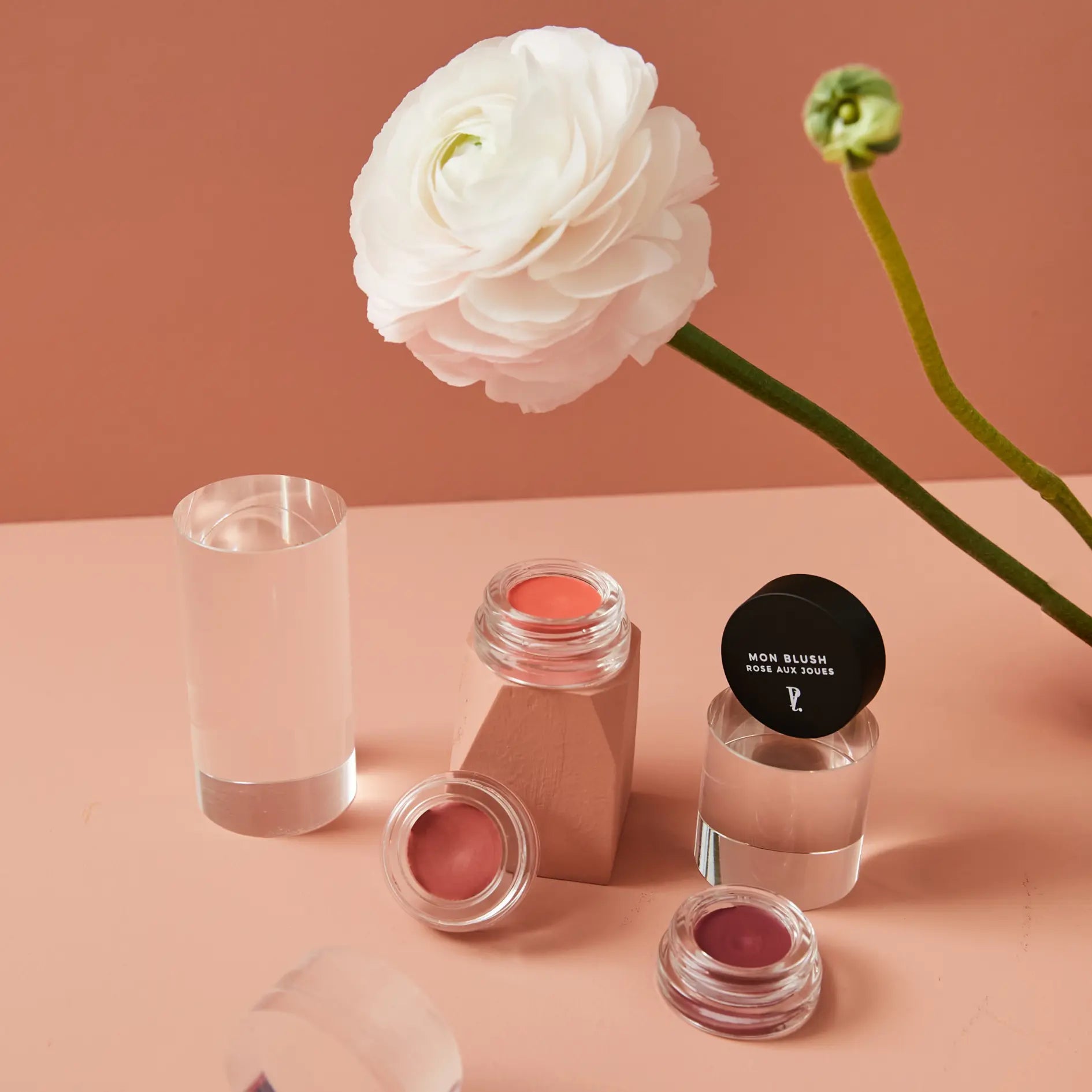 blushs crème ouverts fond rose fleur blanche